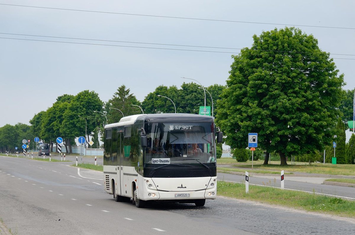 Городской автобус МАЗ