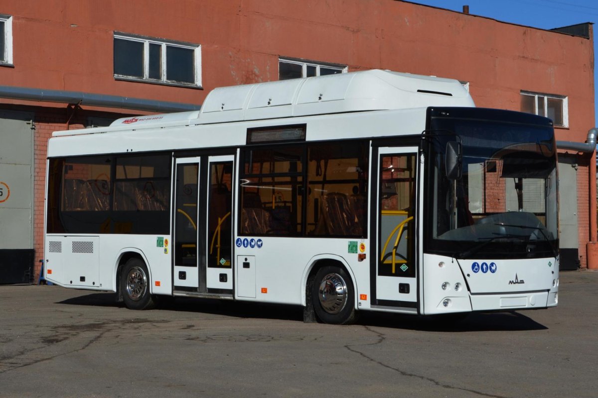 Автобус МАЗ 206946