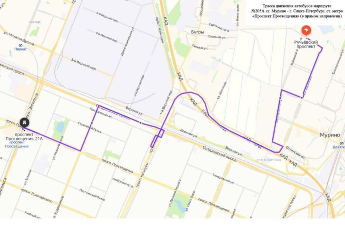 Маршрут 205 автобуса СПБ Мурино