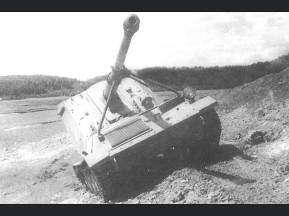 Waffentrager 8.8cm Pak 43 l/71 (Ardelt)