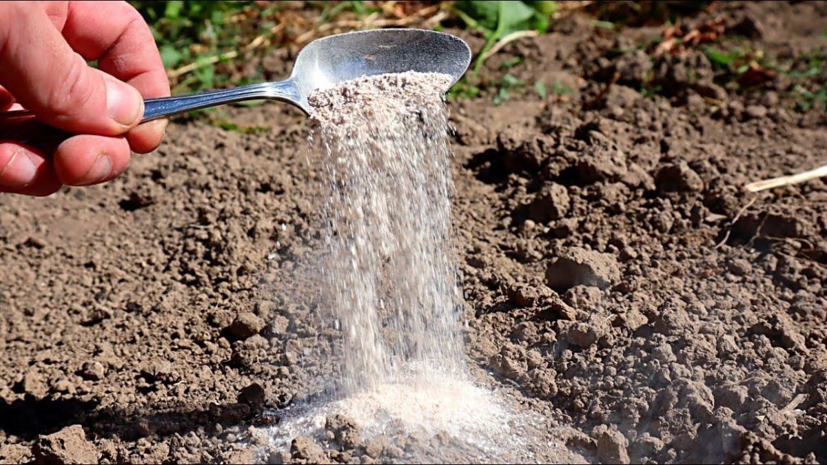 Удобрение земли