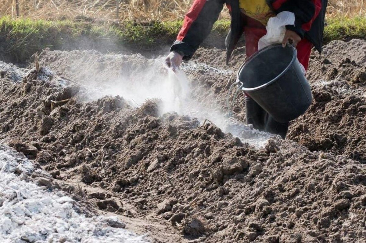 Известкование кислых почв