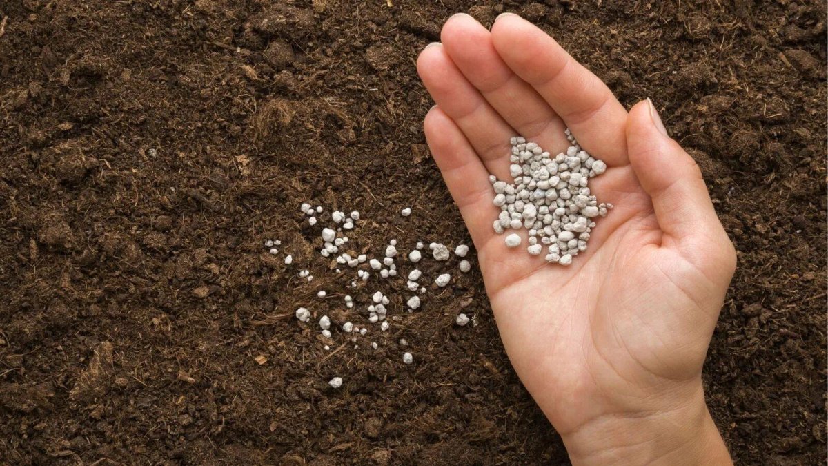 Облагораживание почвы