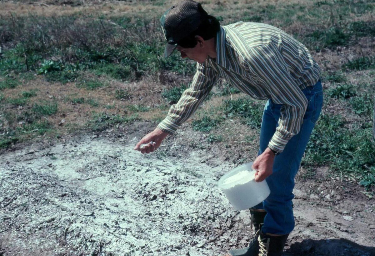 Известь для почвы