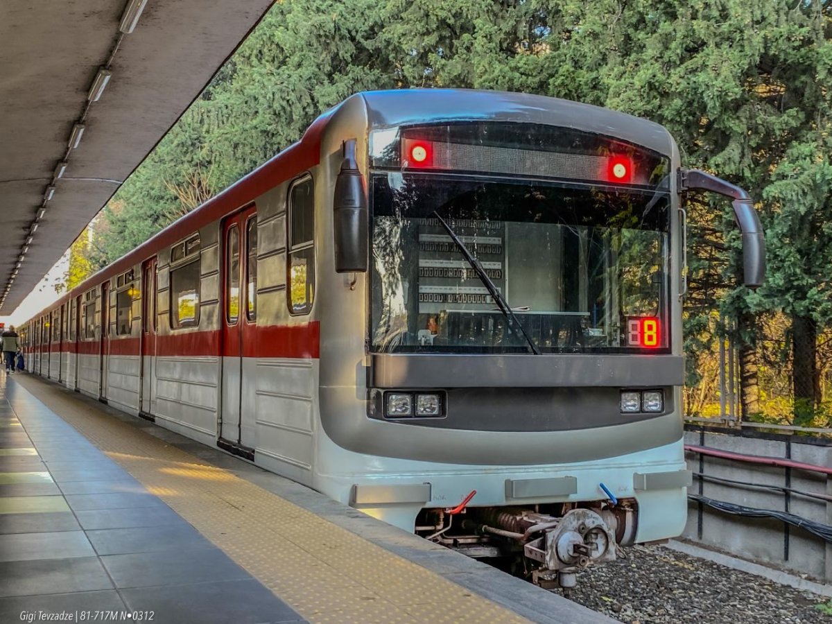 Гамопена Дидубе