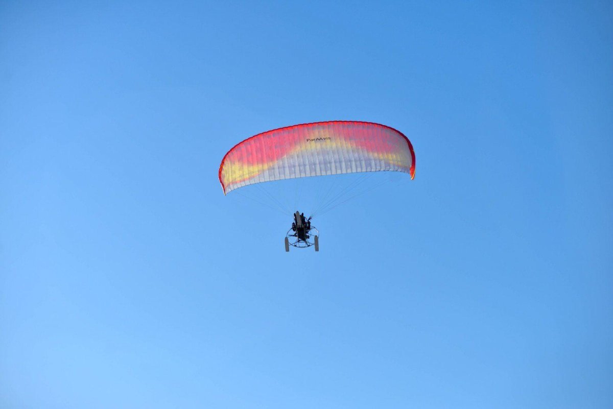 Параавис лого