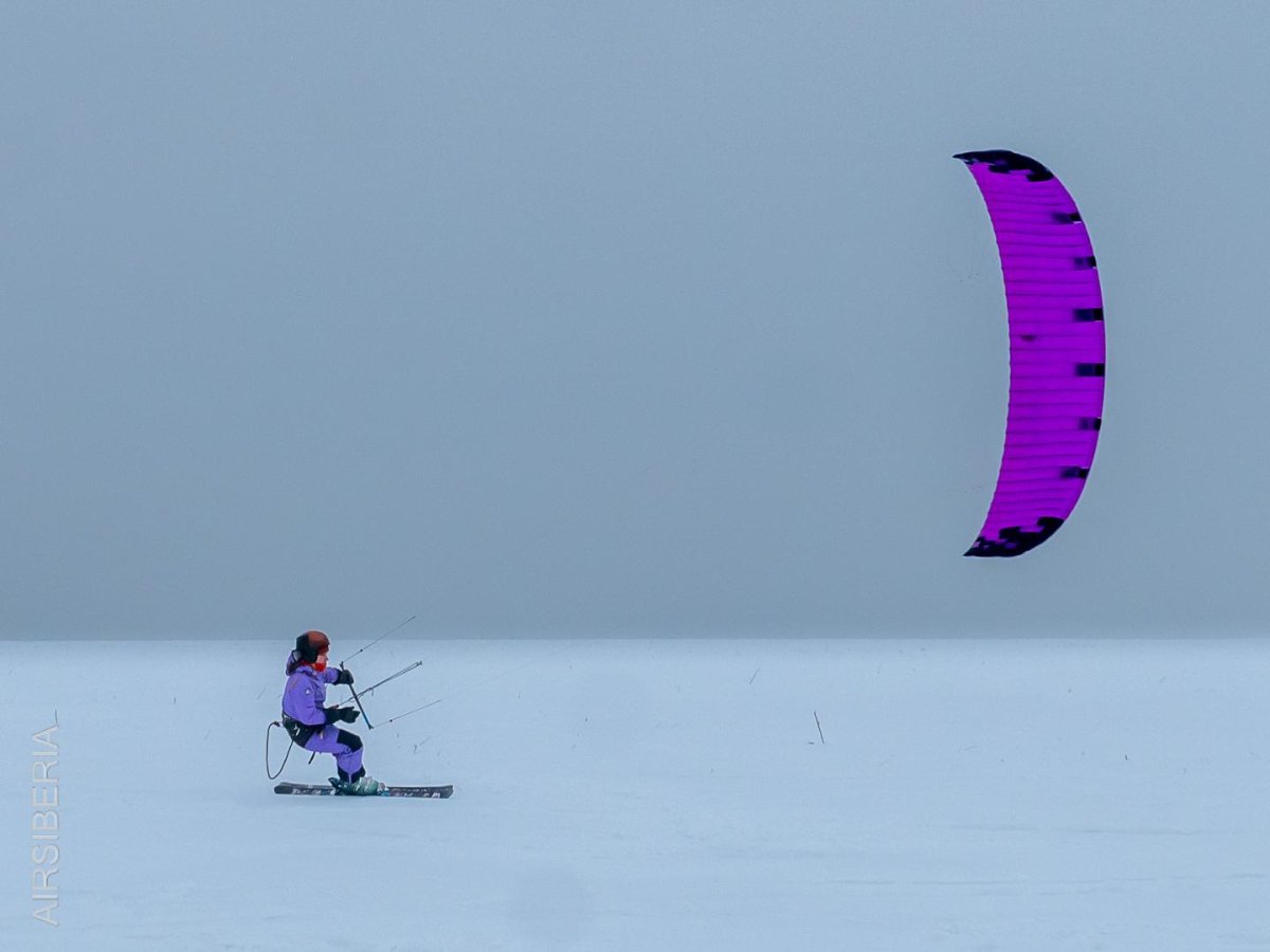 Параавис официальный сайт