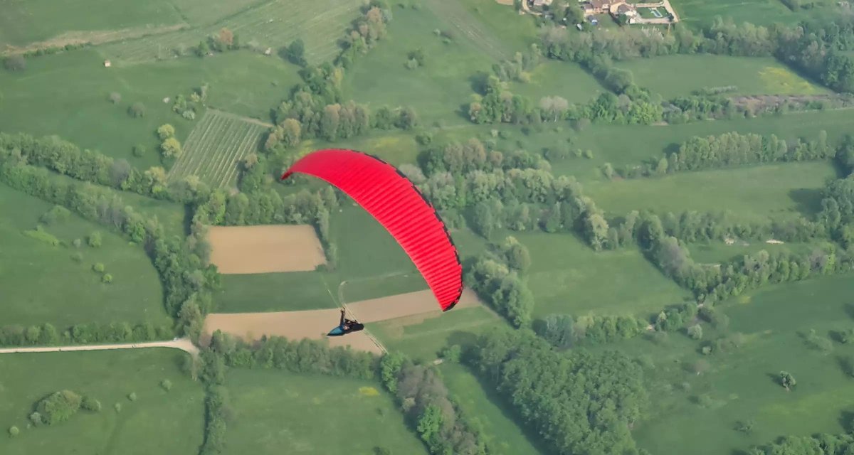 Параавис фан