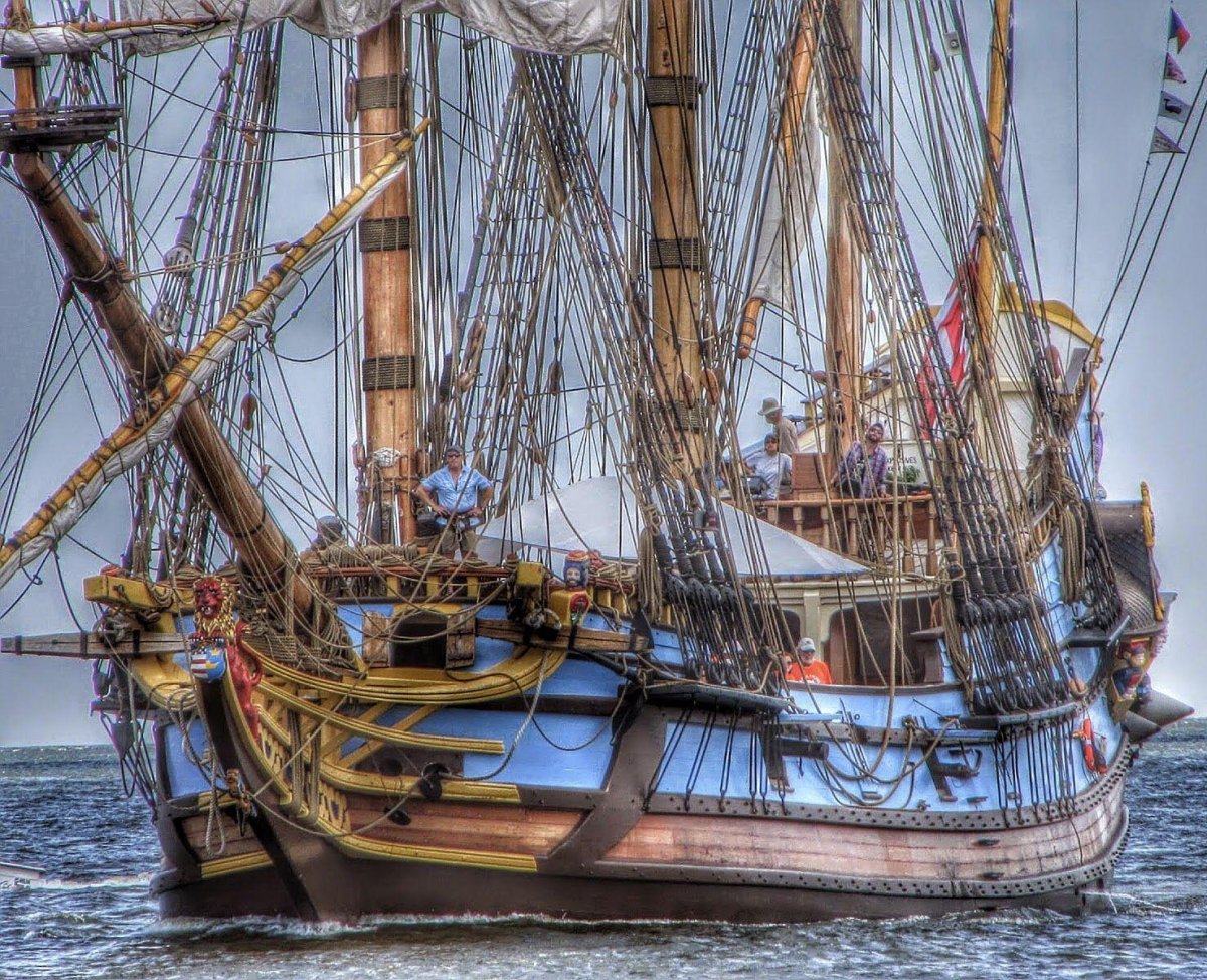 ПИНАС кальмар Нюкель