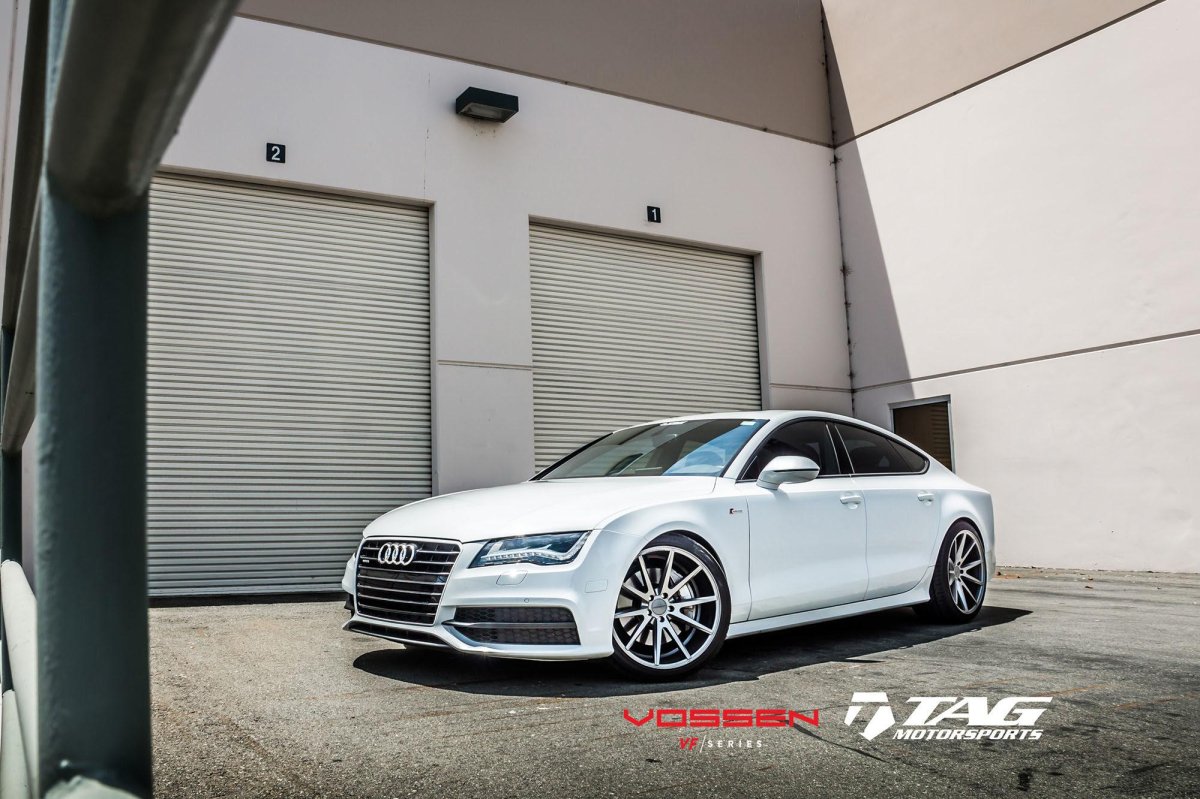 Vossen vfs1