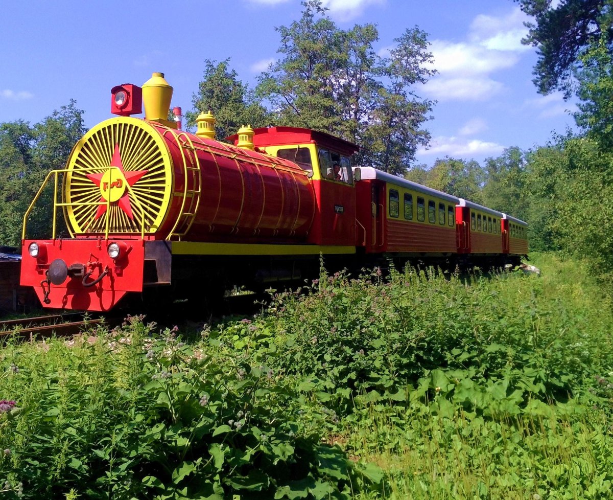 Путеочиститель паровоза