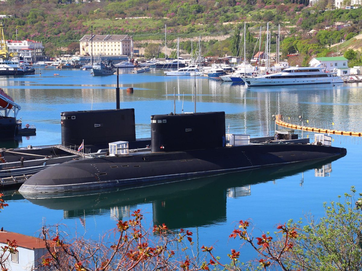 Проекта 877 «палтус»