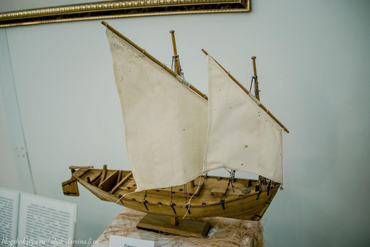 Реюшка Каспийская