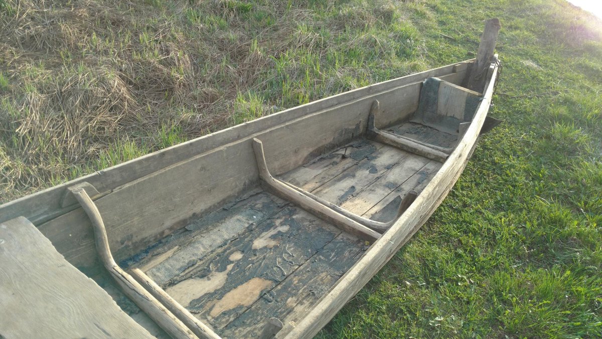 Дощаник Сибирский