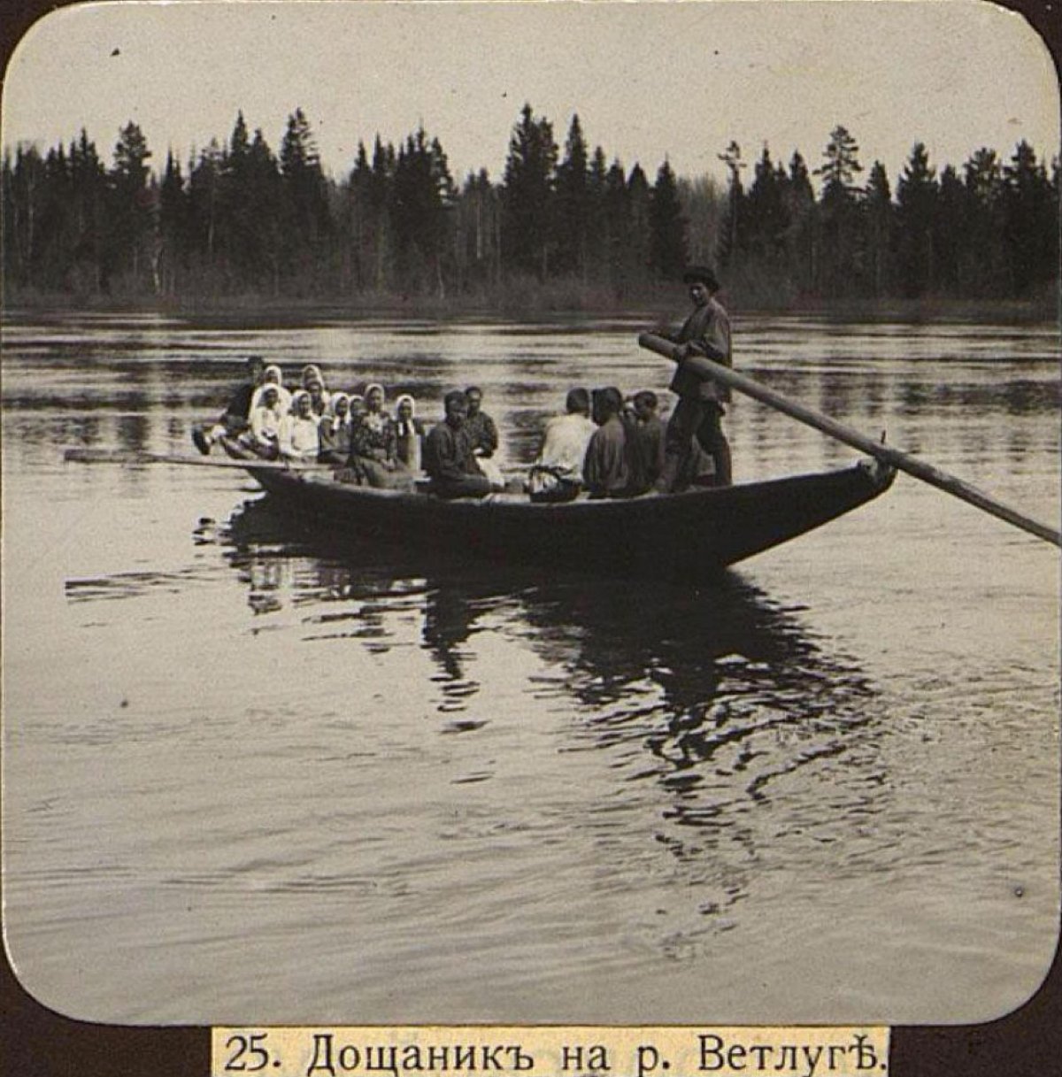 Дощаник фото