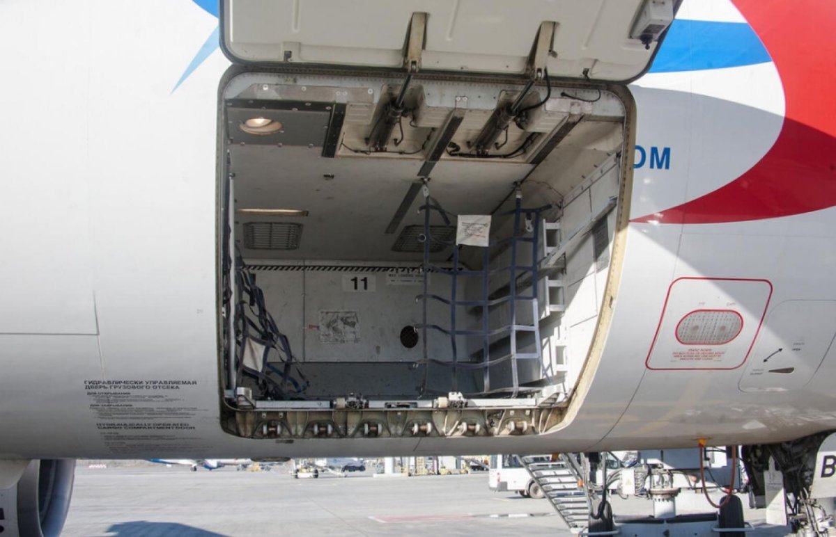 Аэробус 320 багажный отсек