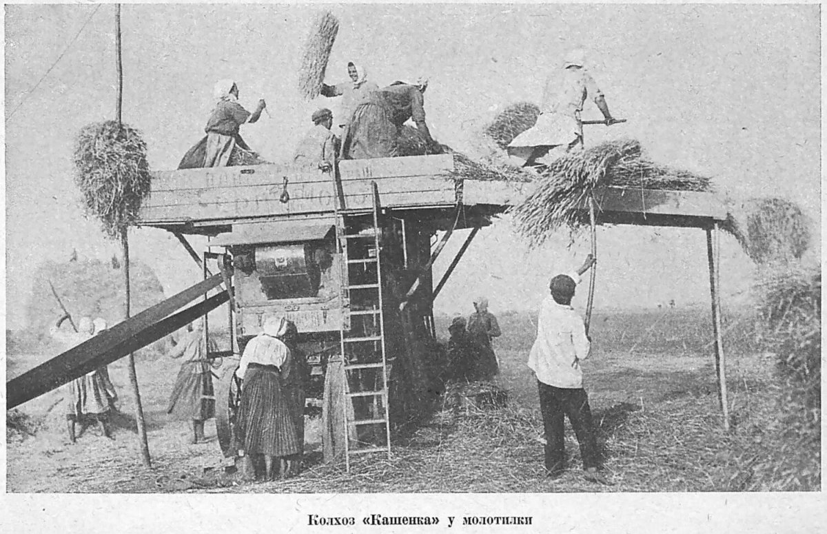 Колхоз 1930 коллективизация