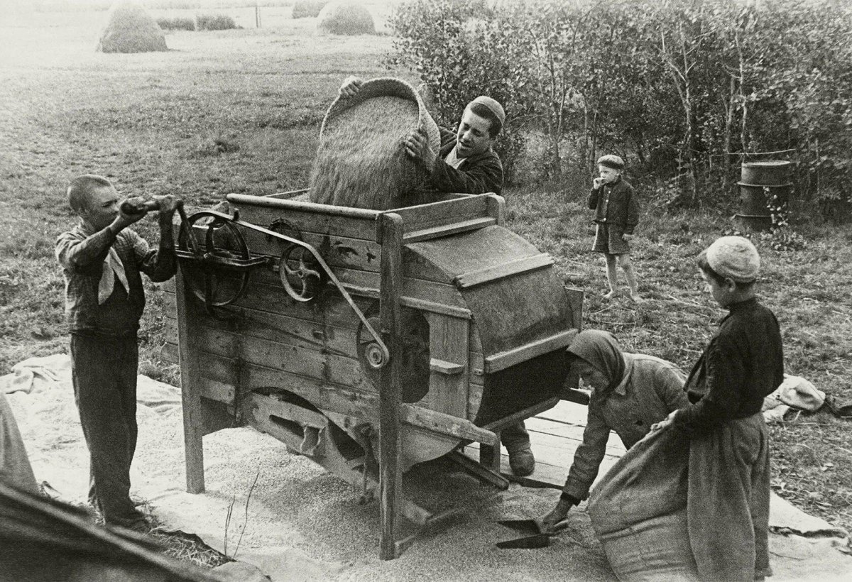 Колхозы в годы войны 1941-1945