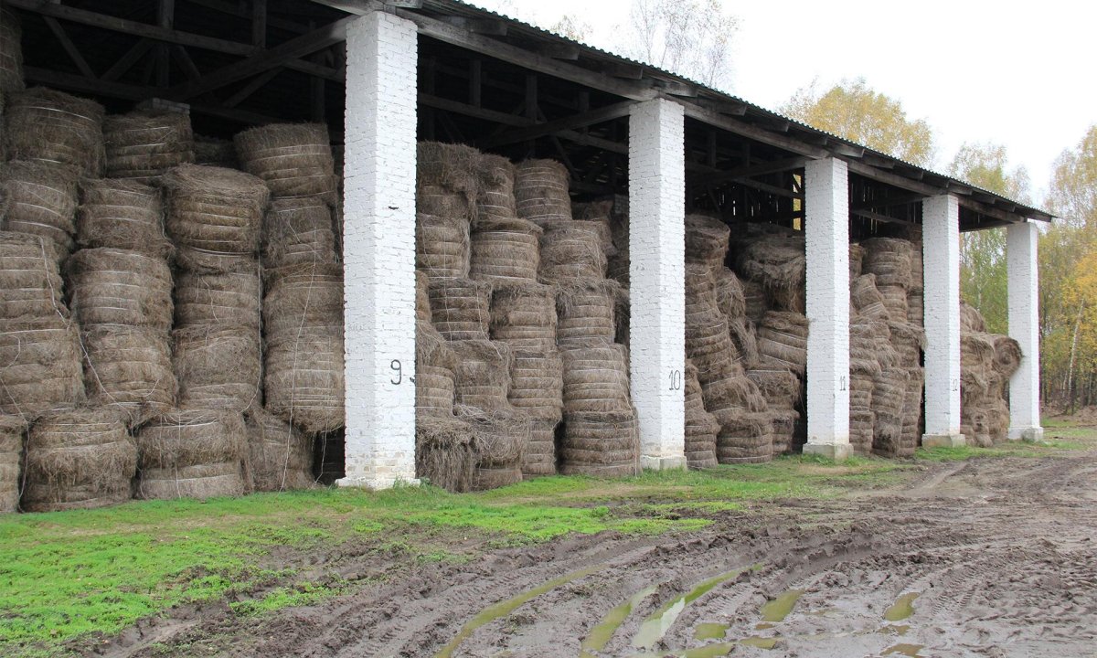 Льнозавод Вышний Волочек