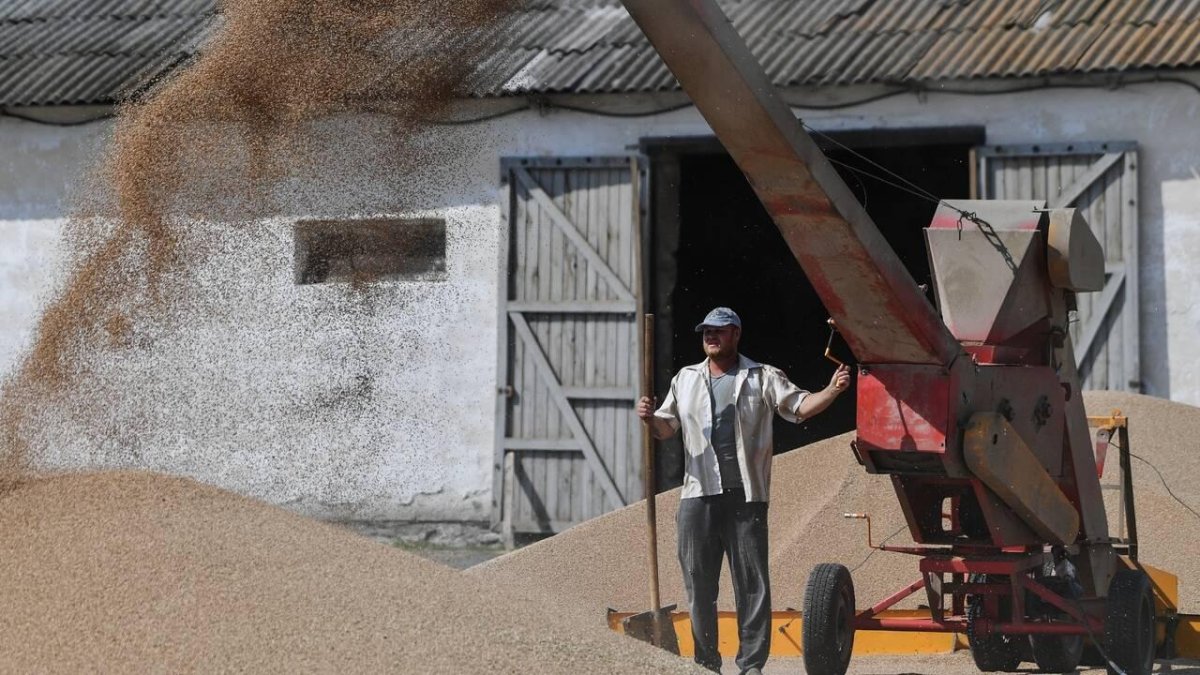 Экспорт зерна