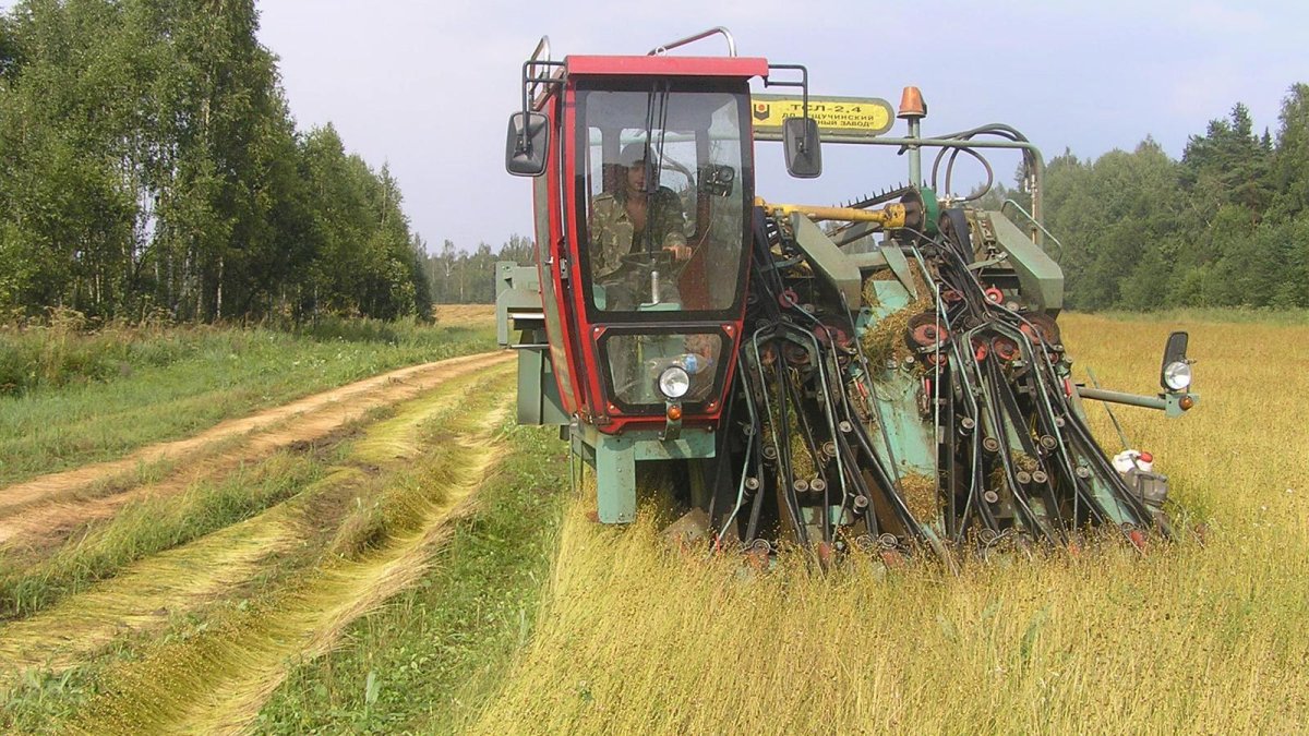 Техника для уборки льна долгунца
