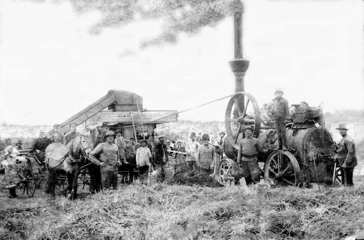 Сельское хозяйство России в начале 20 века