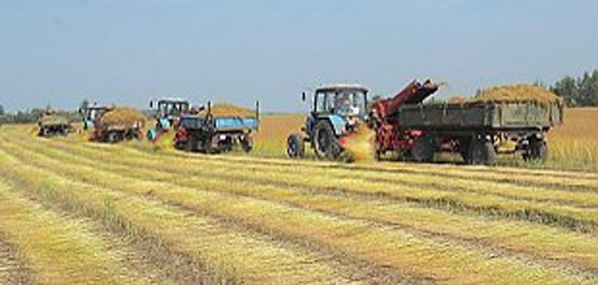 Уборка льна