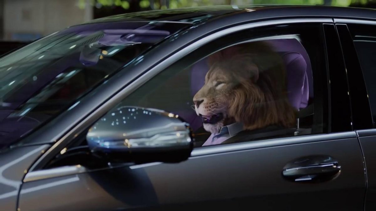 Лев в машине