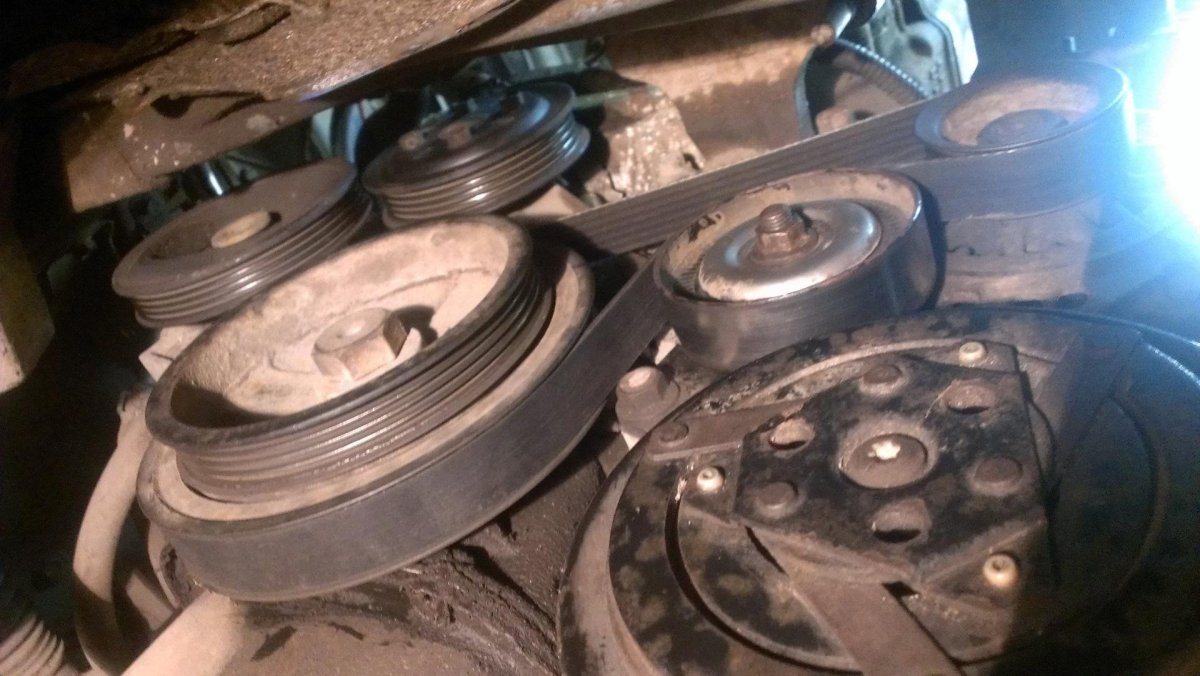 Ремень компрессора кондиционера Nissan Almera n16