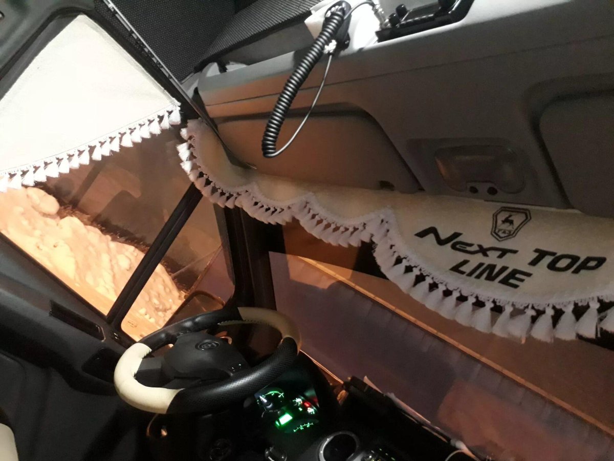 Шторки на лобовое стекло в Газель Некс