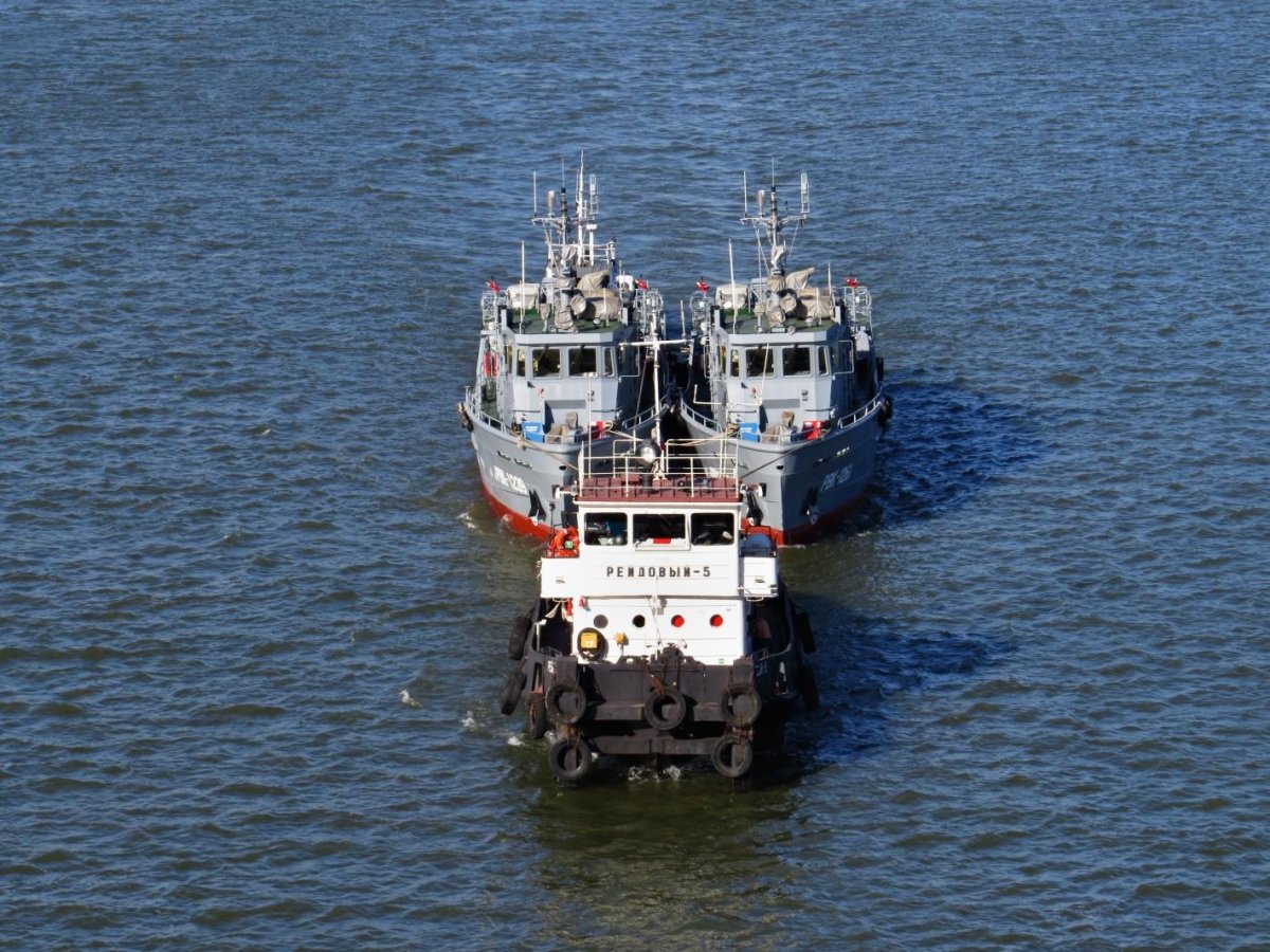 РВК-1239, РВК-1261