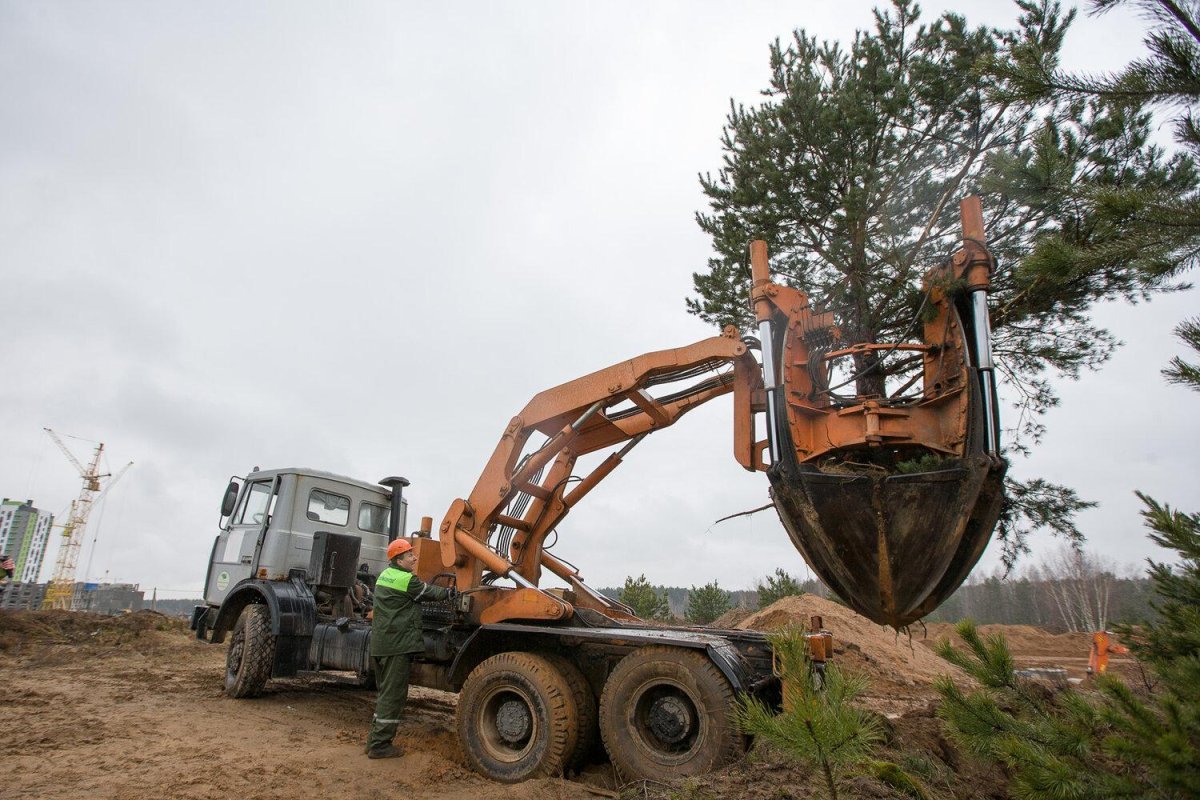 Техника для пересадки деревьев крупномеров
