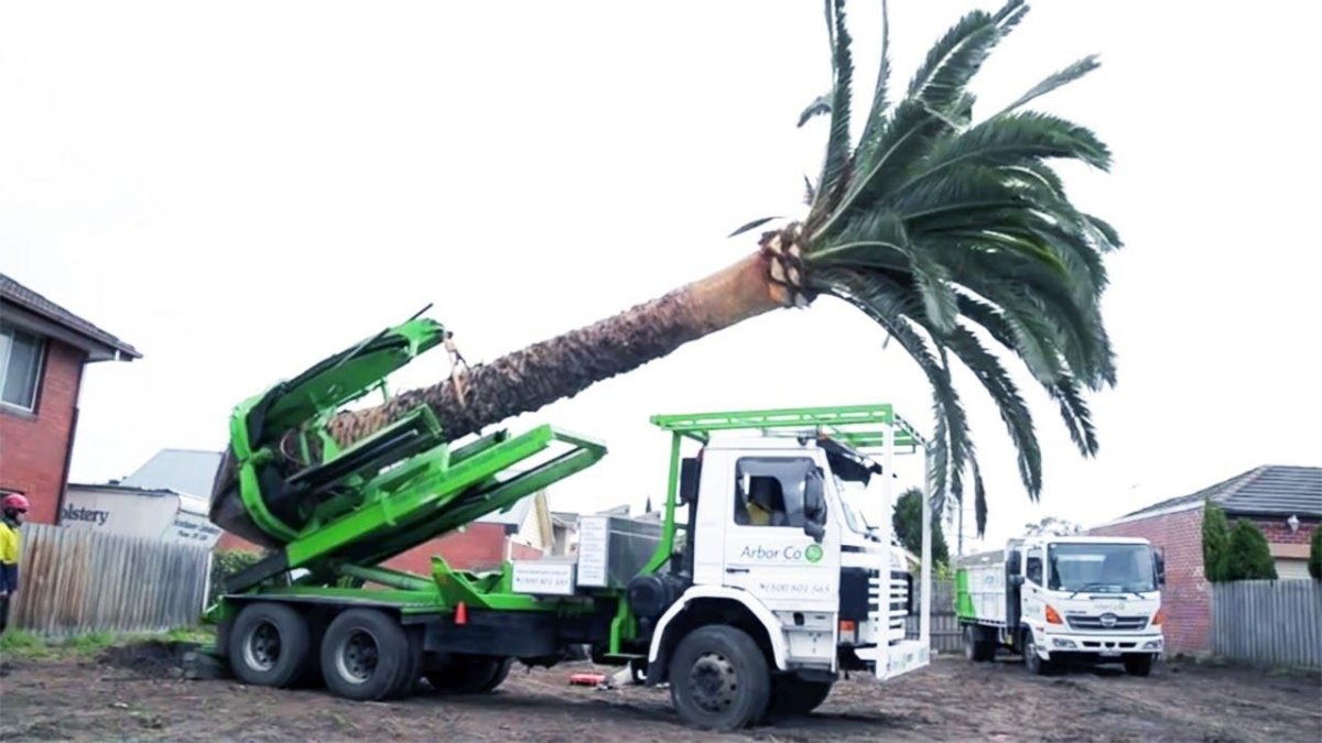 Машина для пересадки деревьев МПД-1800