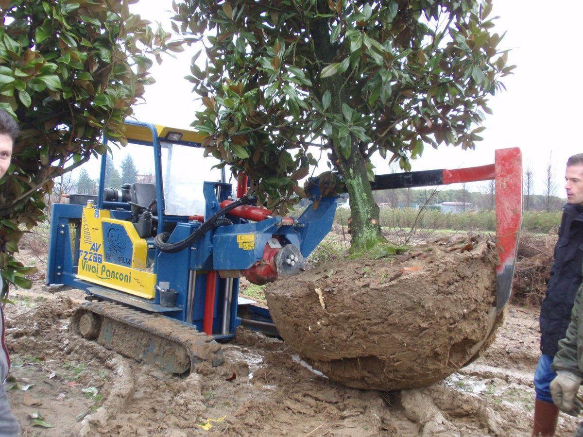 Пересадчик деревьев Kubota