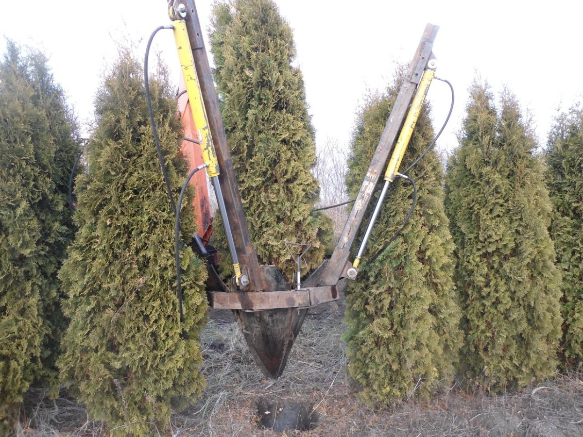 Машина для высадки саженцев МПС-2м