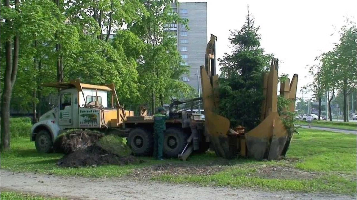 Машина для пересадки деревьев МПД-1800
