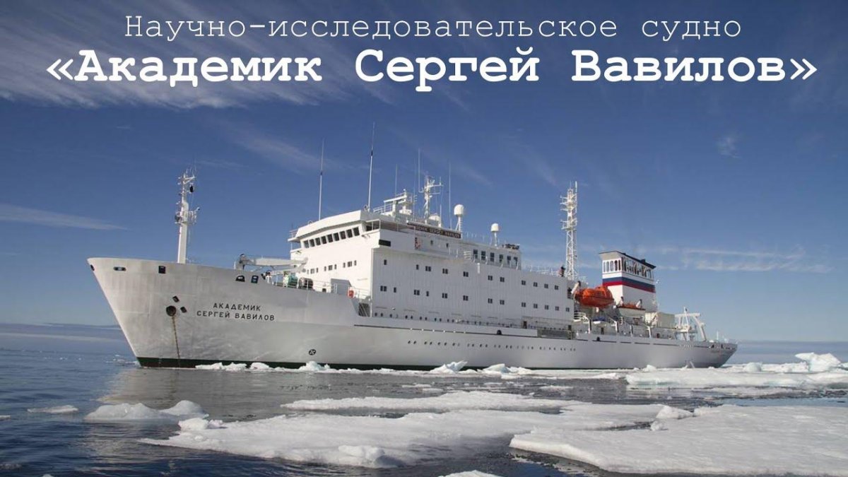 Научно-исследовательское судно академик Сергей Вавилов