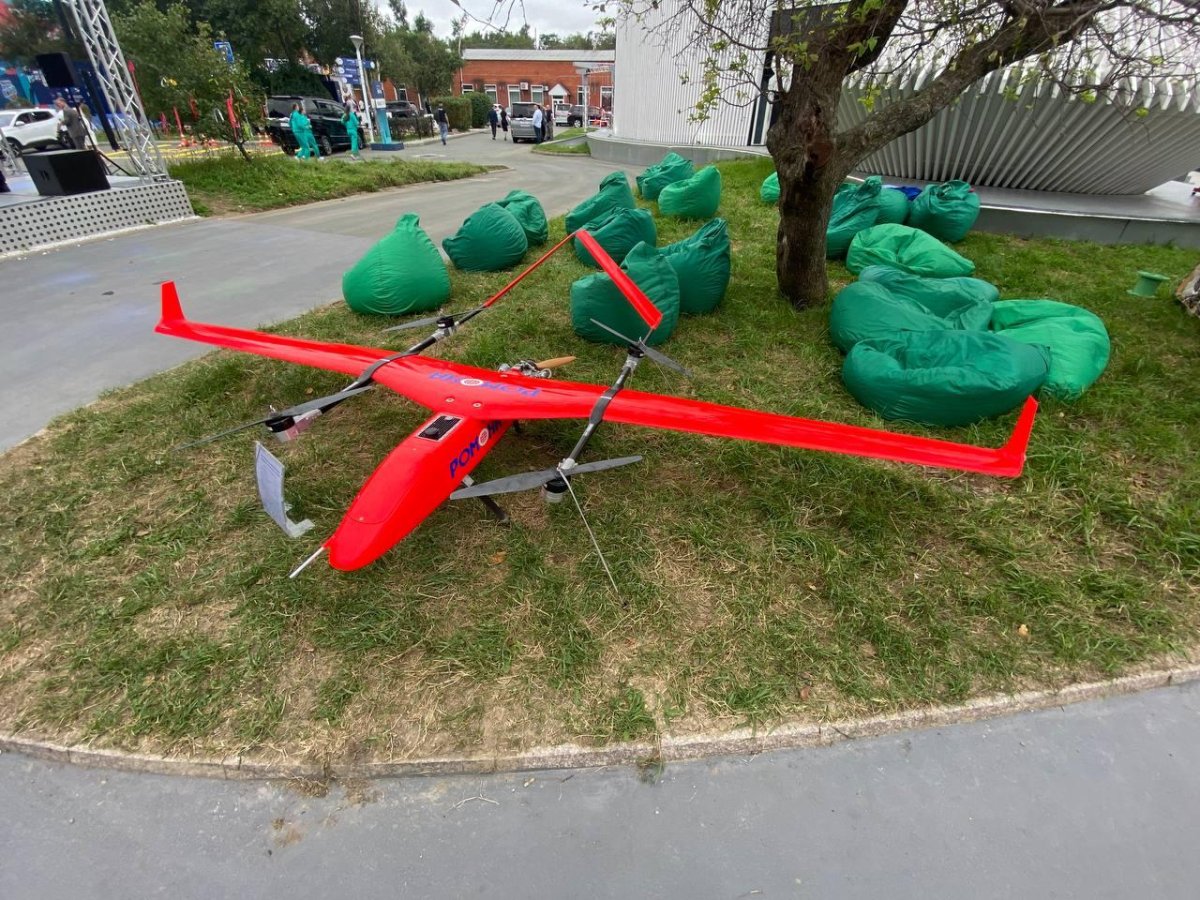 Парк Гайдара Арзамас