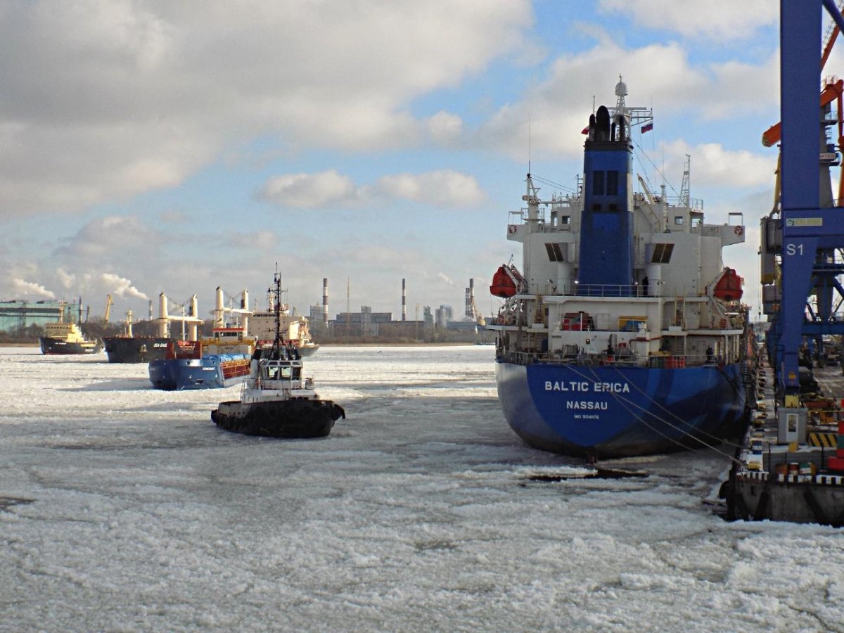 Балтик Эрика