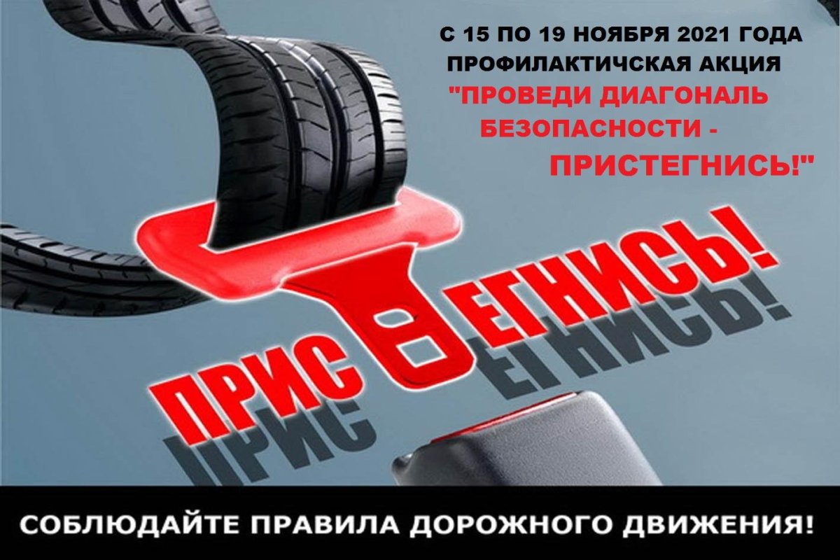 Ремни безопасности Плака