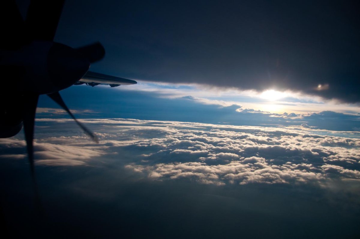 Самолет в небе