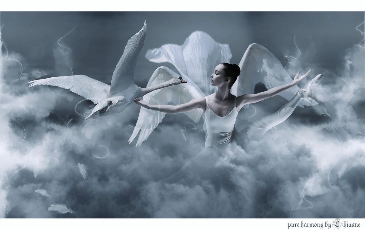 Ангелы летают