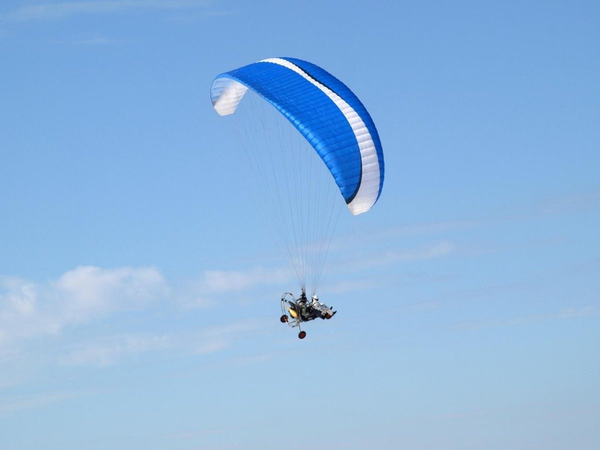 Haclyon паралет