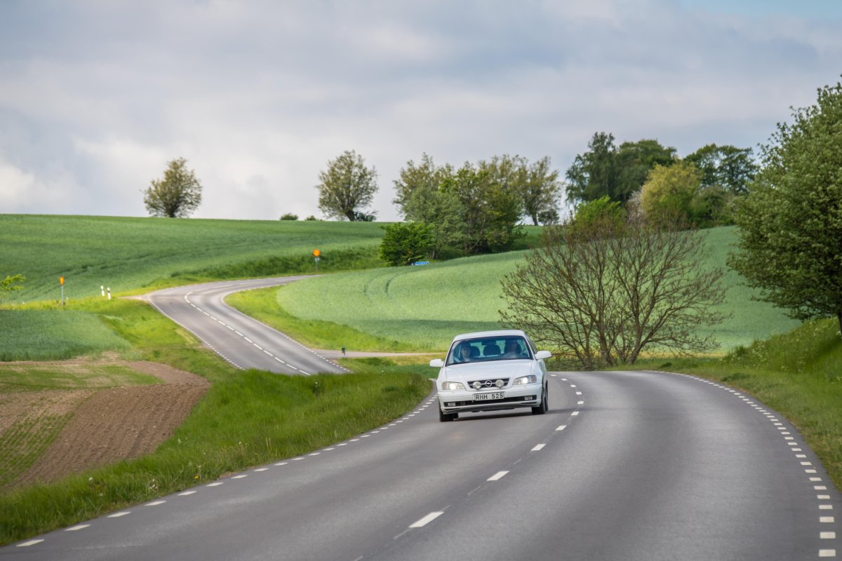 Пейзаж дорога
