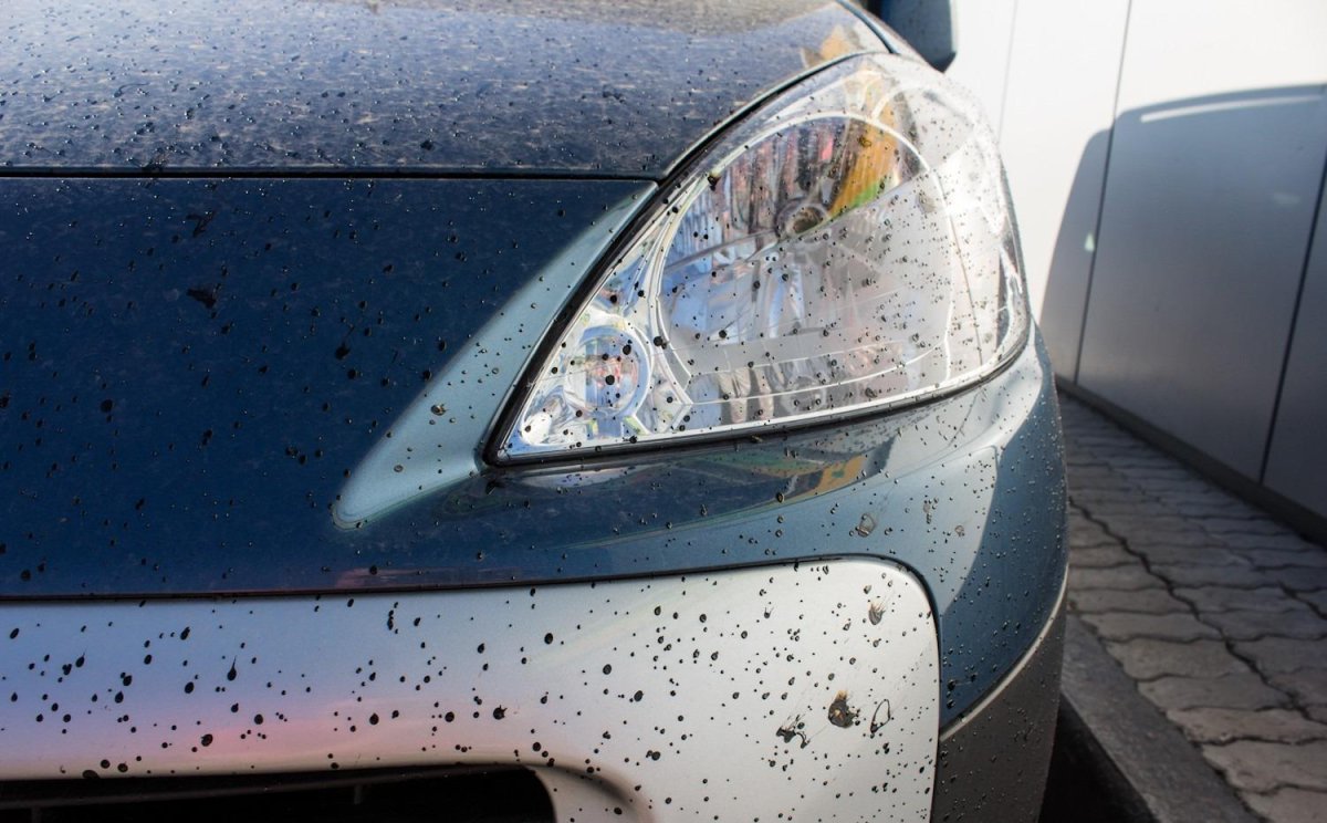 Битум на кузове