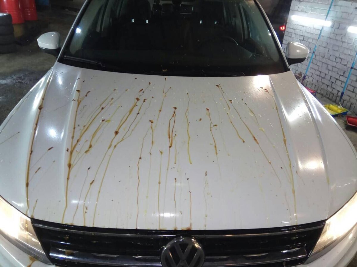 Липа на кузове автомобиле