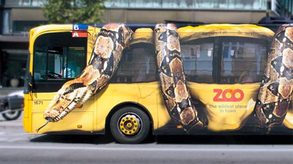 Креативные автобусы