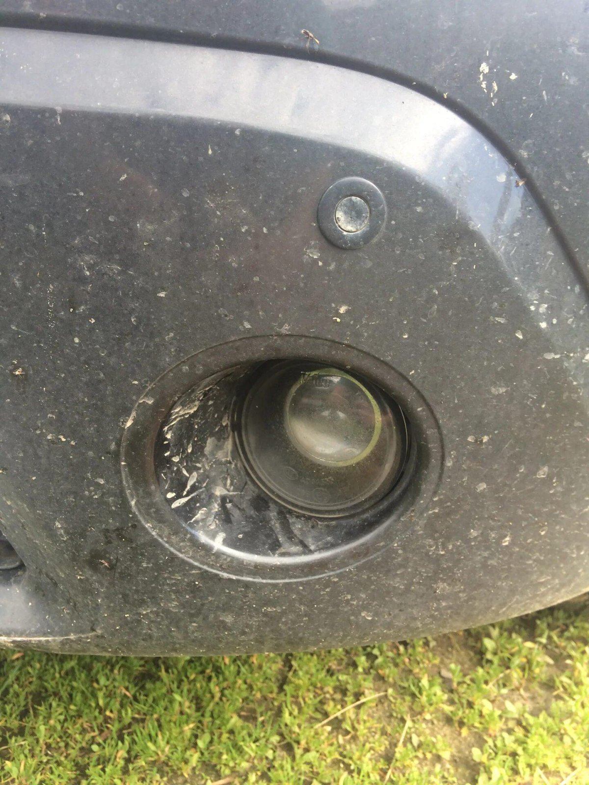 Линзованные ПТФ на Рено Логан 1