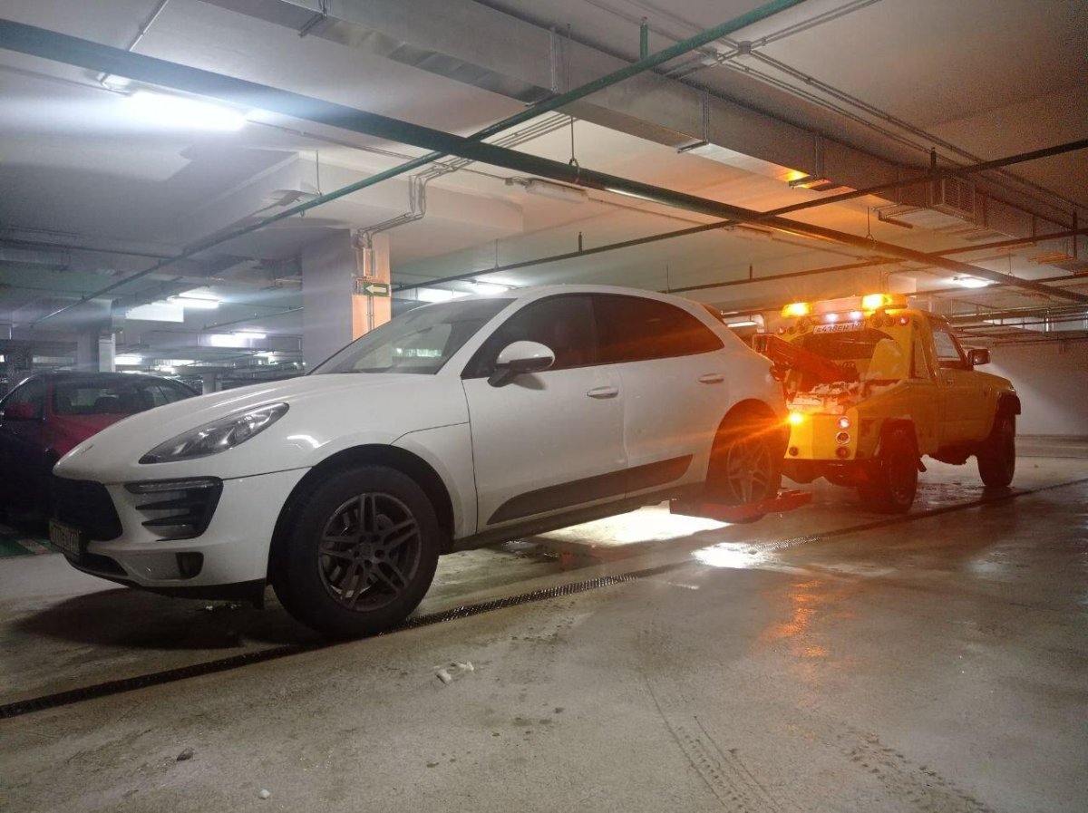 Автосервис Колтуши