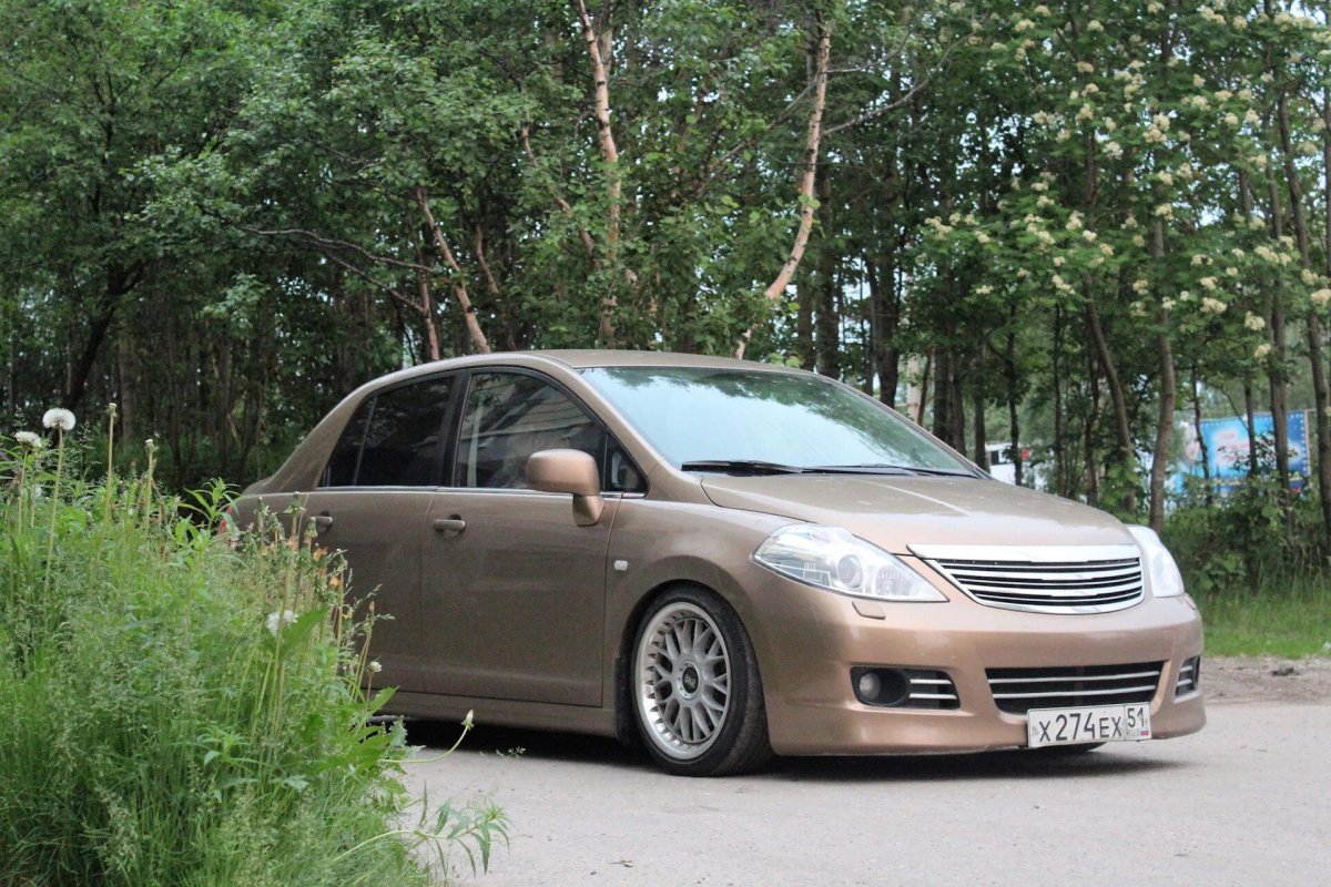 Тиида стенс